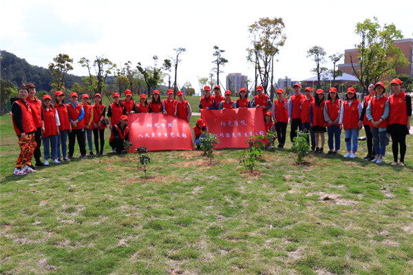 义务植树1.JPG