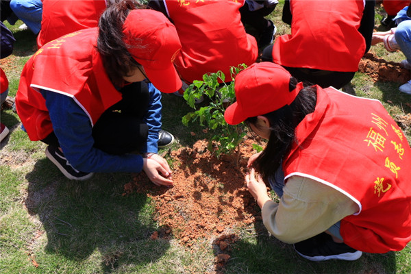 义务植树2.JPG
